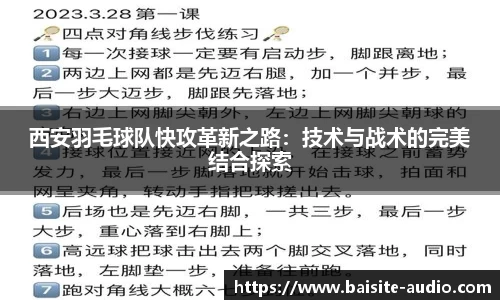 西安羽毛球队快攻革新之路：技术与战术的完美结合探索