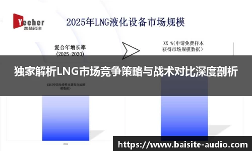 独家解析LNG市场竞争策略与战术对比深度剖析