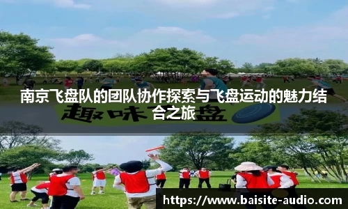 南京飞盘队的团队协作探索与飞盘运动的魅力结合之旅